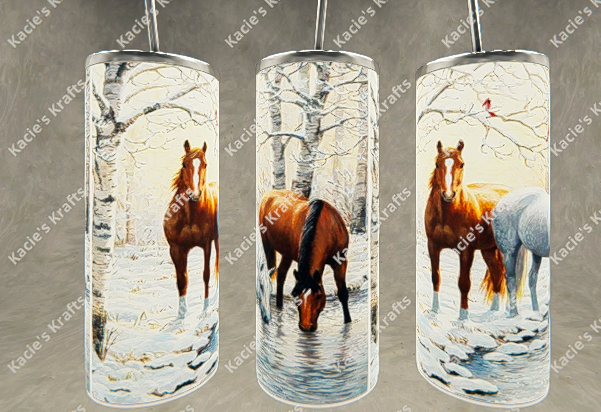 Horse Reflections